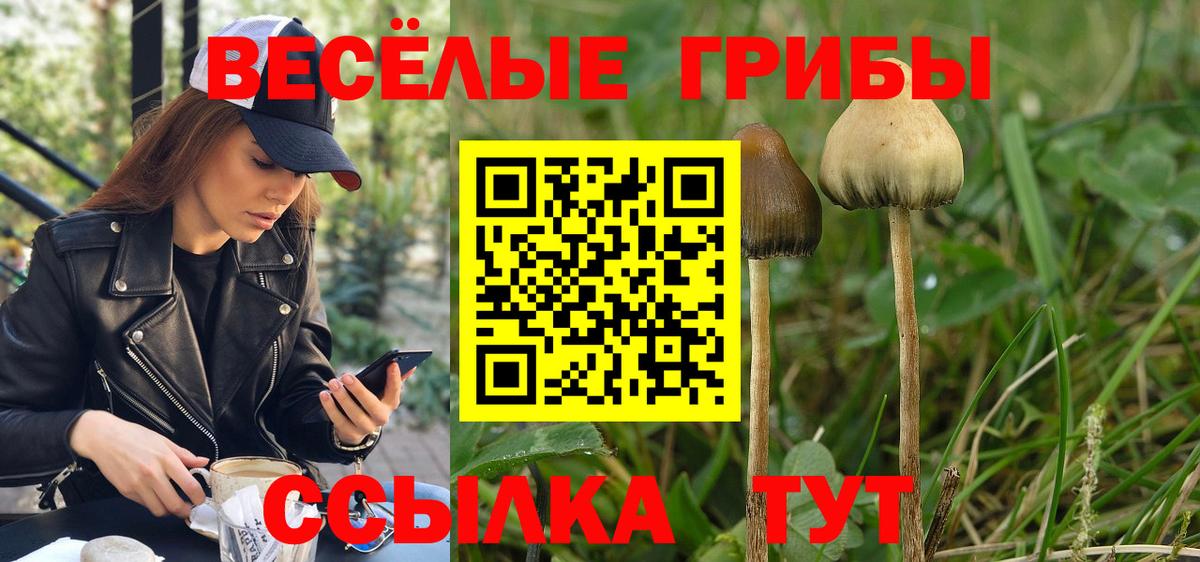 Шахты  Галлюциногенные грибы Cubensis  Вход с VPN 