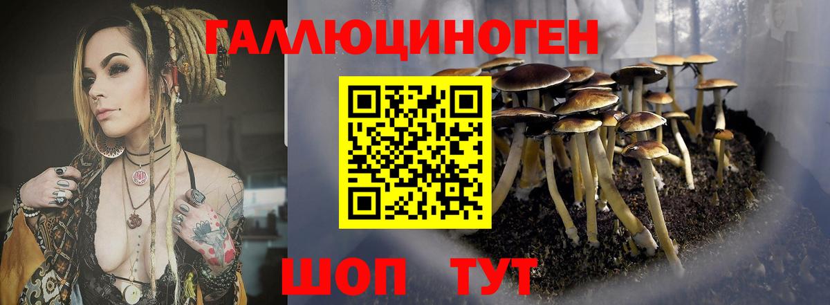 Псилоцибиновые грибы MAGIC MUSHROOMS Шахты